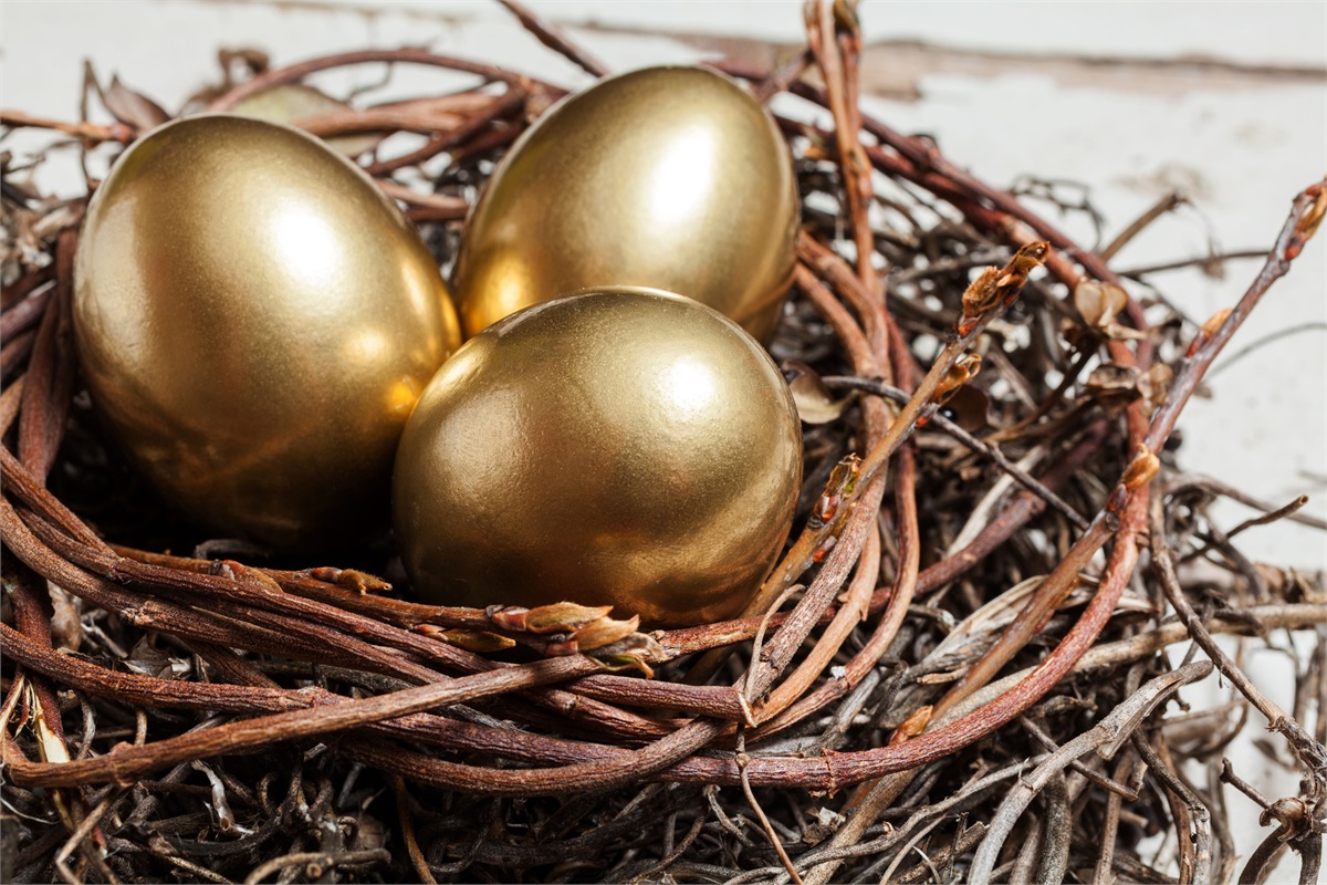 A nest egg built with private non-recourse IRA loans
