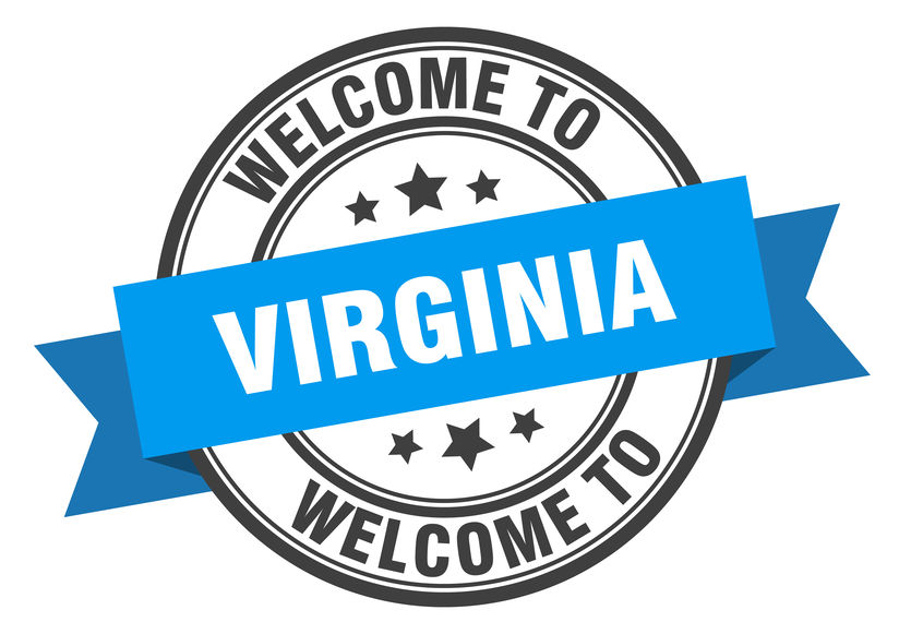 Form LLC Virginia